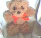 My 1st Fuzzy Teddy