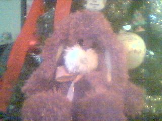 Randi 1st Fuzzy Bunny I've Made:) So CUTE!!